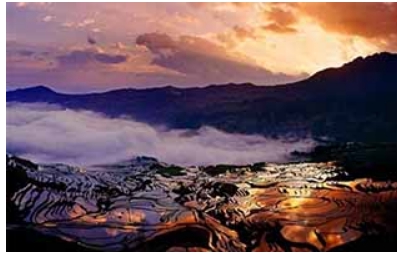 山西賞花旅遊,西安賞油菜花旅遊,西安兵馬俑旅遊