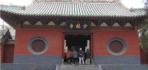 西安賞油菜花旅遊,張家界旅遊,山西賞花旅遊