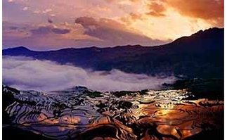 西安旅遊,西安賞油菜花旅遊,西安兵馬俑旅遊