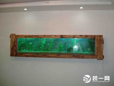裝修網分享：什麼是掛壁式魚缸|如何製作掛壁式魚缸？