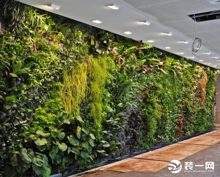 室內植物牆施工五大原則 學會植物牆製作方法讓您家與眾不同