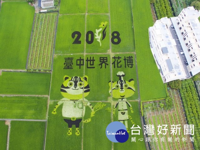 外埔石虎彩繪稻田　花博開幕前最吸引人潮的景點