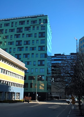 瑞典找能源 積極開發生物質