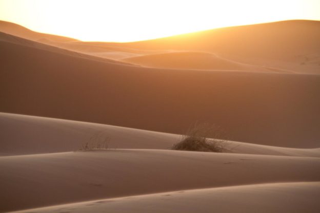 沙漠太陽能有望輸電歐洲？能源選擇跟當地政府支持為重點