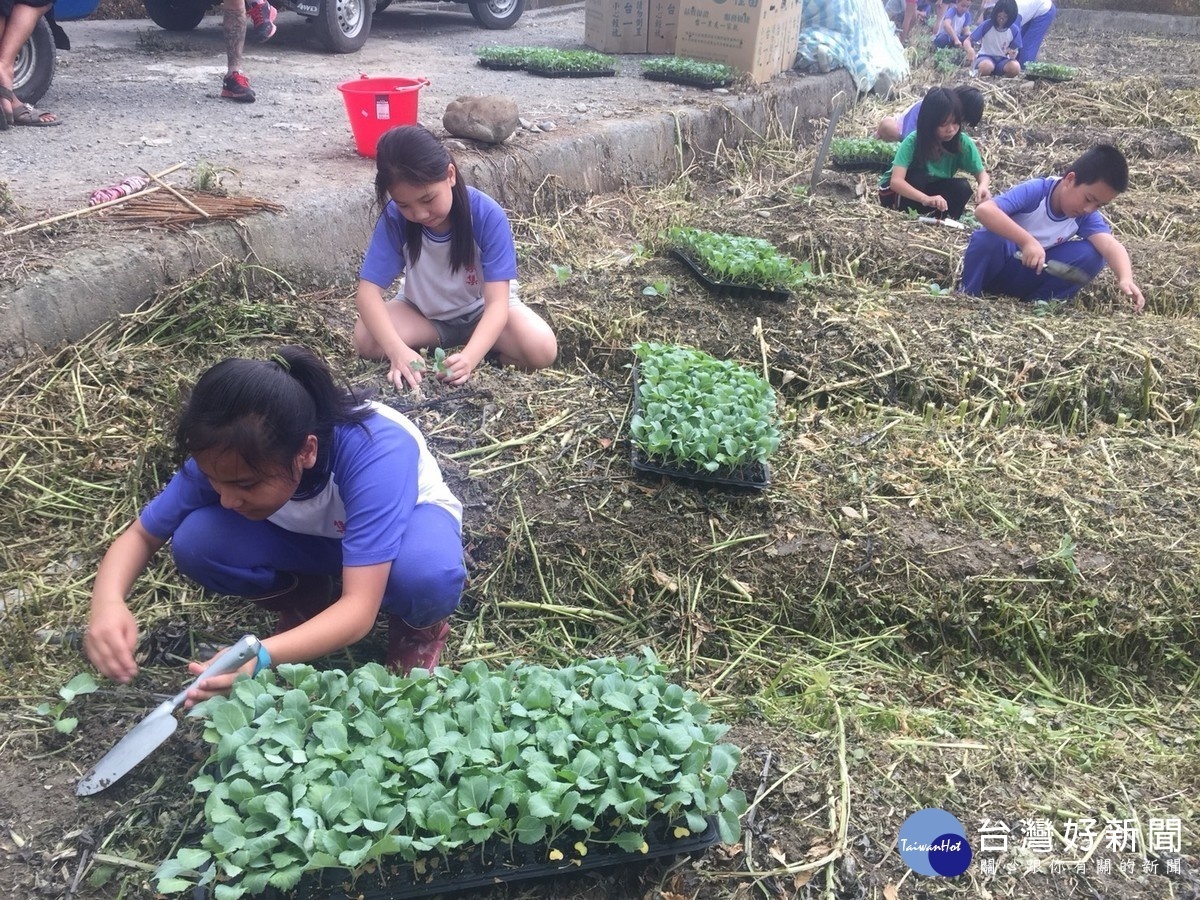 集集國小學生種植蔬菜義賣　籌畢業旅行旅費