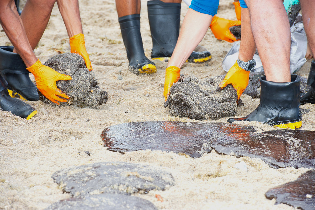 巴西浮油事件3個月 污染擴至座頭鯨保育區