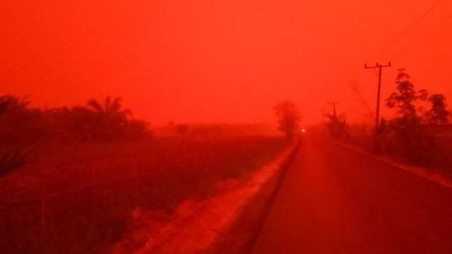 印尼雨林大火霾害 蘇門答臘天空一片血紅