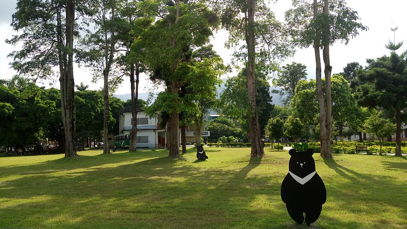 8月間，台灣黑熊保育協會在花蓮玉里南安山區，架設監測黑熊用的5台紅外線相機