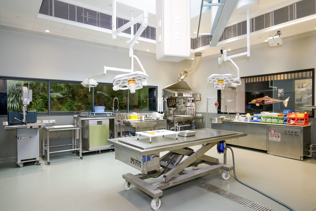 海洋公園與香港海洋公園保育基金（下稱「保育基金」）