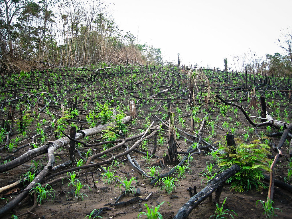 總部設在美國加州的「全球生態足跡網絡」（Global Footprint Network，GFN）