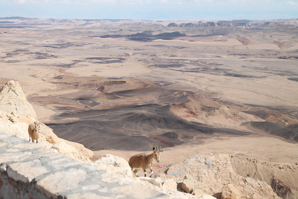 覆蓋以色列境內一半陸地的內蓋夫沙漠極度乾燥，部分地區每年的降水量不到3英寸